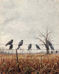 The Boy Who Counted Crows cover